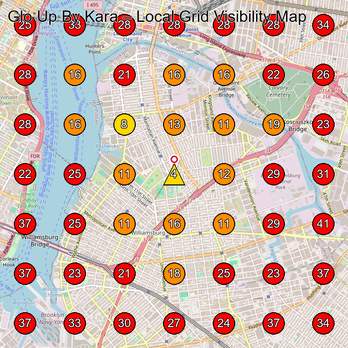 Glo Up By Kara GeoGrid visibility map for Skin Care Clinic in Brooklyn